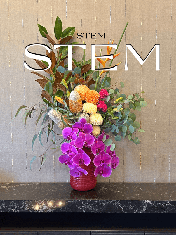 how do flowers get their colour