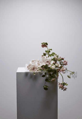 Best event florist Brisbane