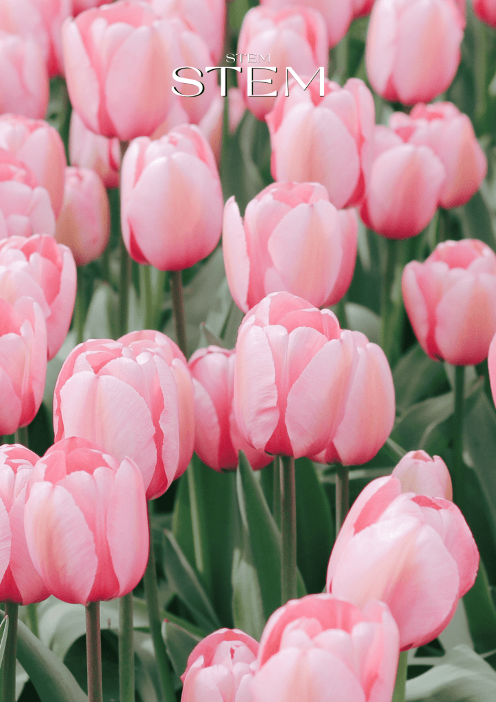 INCORPORATING TULIPS INTO WEDDING FLOWERS AND EVENTS