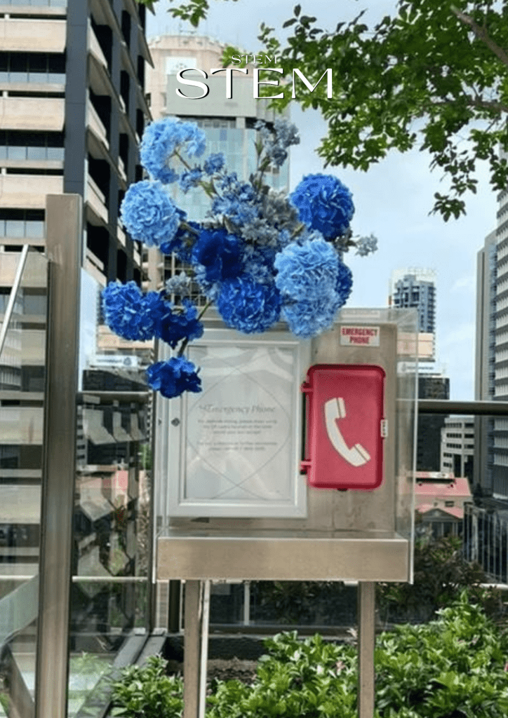 OUTDOOR WEDDINGS & EVENTS IN BRISBANE AND GOLD COAST