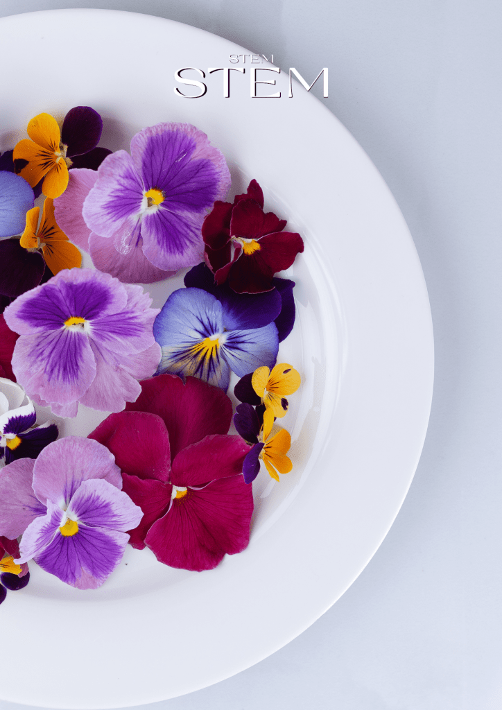 edible flowers and where to buy them