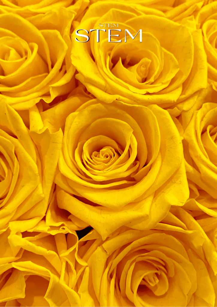 Flowers for Melbourne Cup 2025 – bright yellow roses styled for Cup Day celebrations by Stem Design Brisbane.
