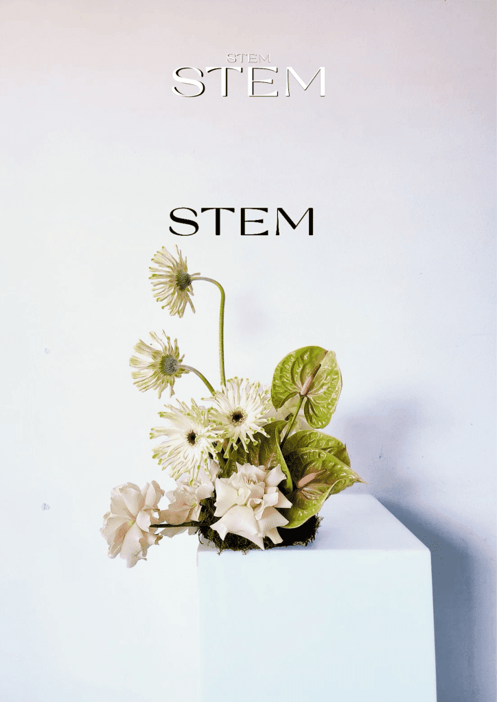 Modern minimalist floral arrangement with pale gerberas, neutral roses, and green anthuriums styled by Stem Design in Brisbane.