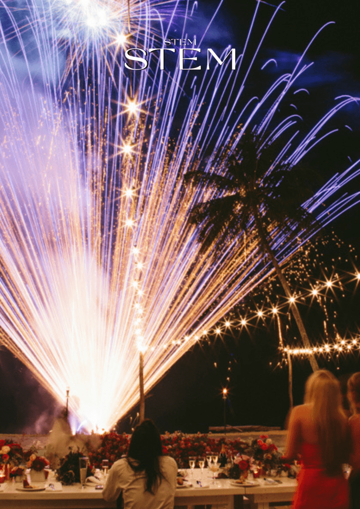New Year fireworks lighting up a celebration event with guests gathered below, styled with event flowers by Stem Design, wedding florist Brisbane and event florist Gold Coast.