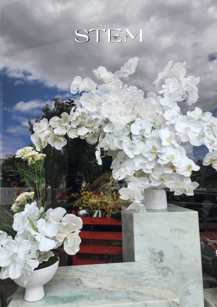 Long lasting white orchid flower arrangement for business reception area Brisbane